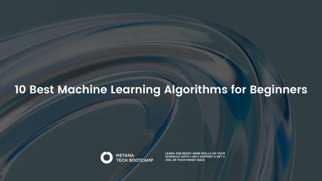 10 Best Machine Learning Algorithms for Beginners - Metana