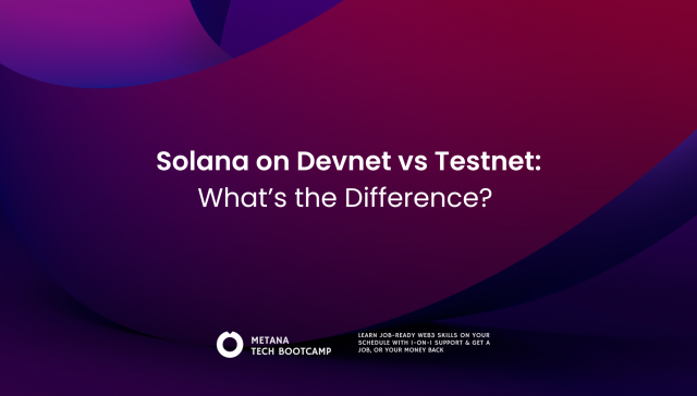 Solana-on-Devnet-vs-Testnet-Whats-the-Difference-