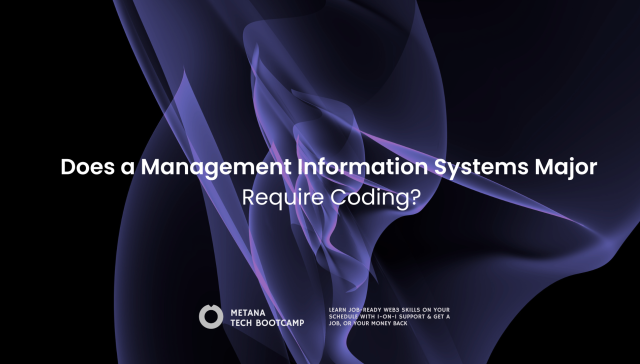 Management Information Systems Major Require Coding
