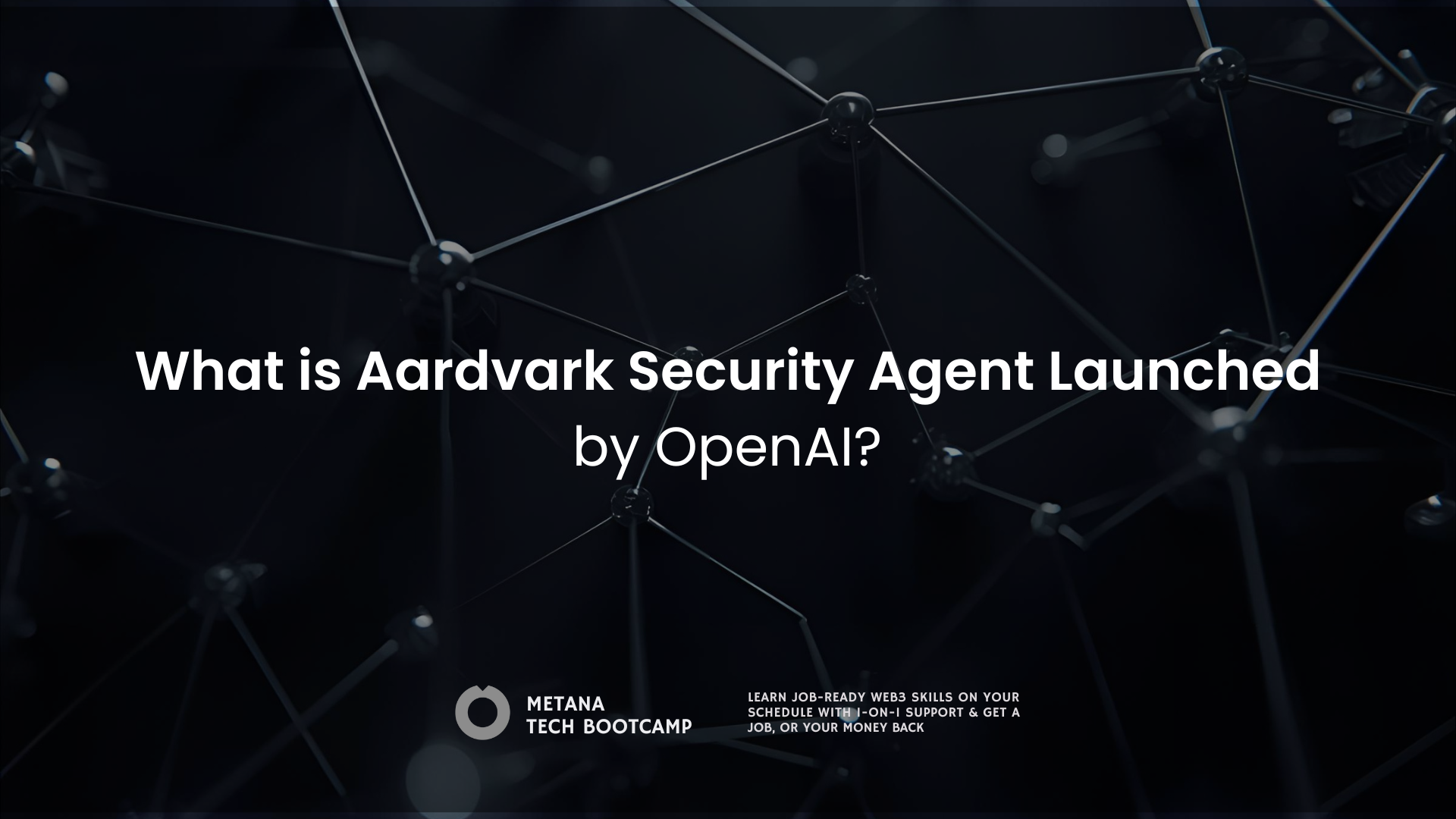 Aardvark Security Agent