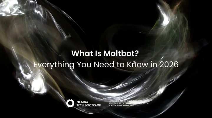 What is Moltbot