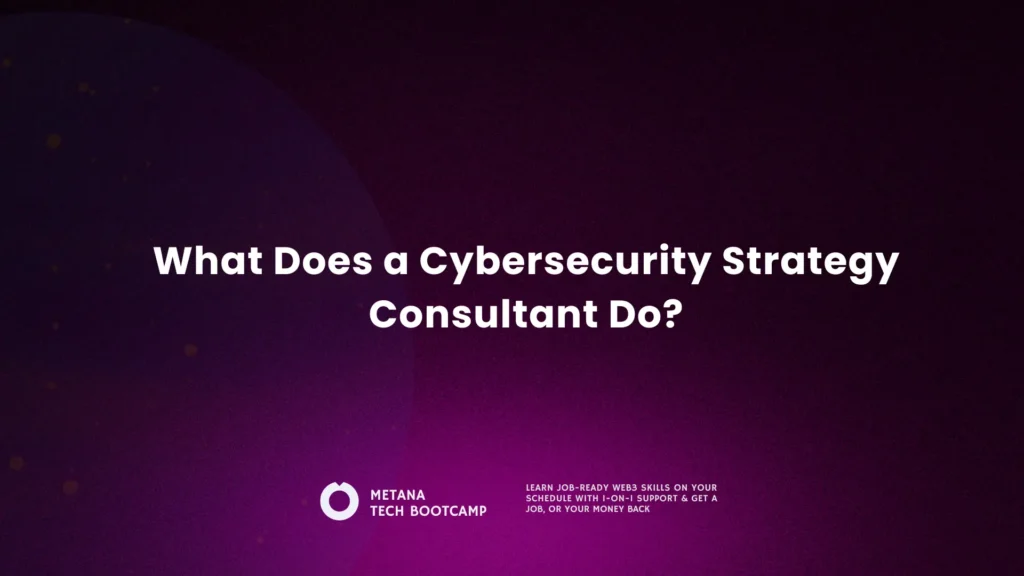 cybersecurity consultant